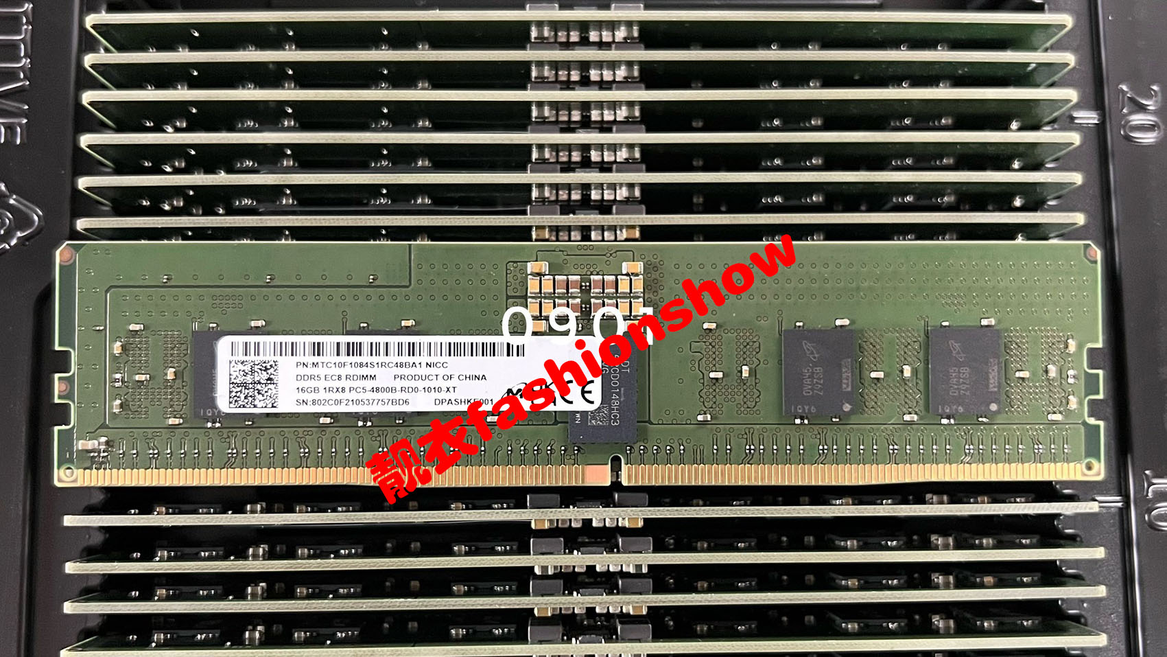 镁光 16G 1RX8 PC5-4800B ECC REG服务器内存MTC10F1084S1RC48BA1