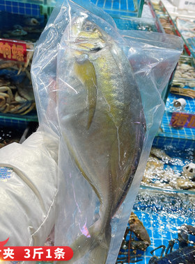 日本冰鲜池鱼大竹寿司刺身