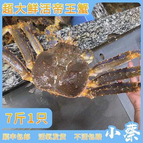 鲜活阿拉斯加帝王蟹澳洲龙虾超特大帝王蟹皇帝蟹长脚蟹雪蟹7斤1只 - 封面
