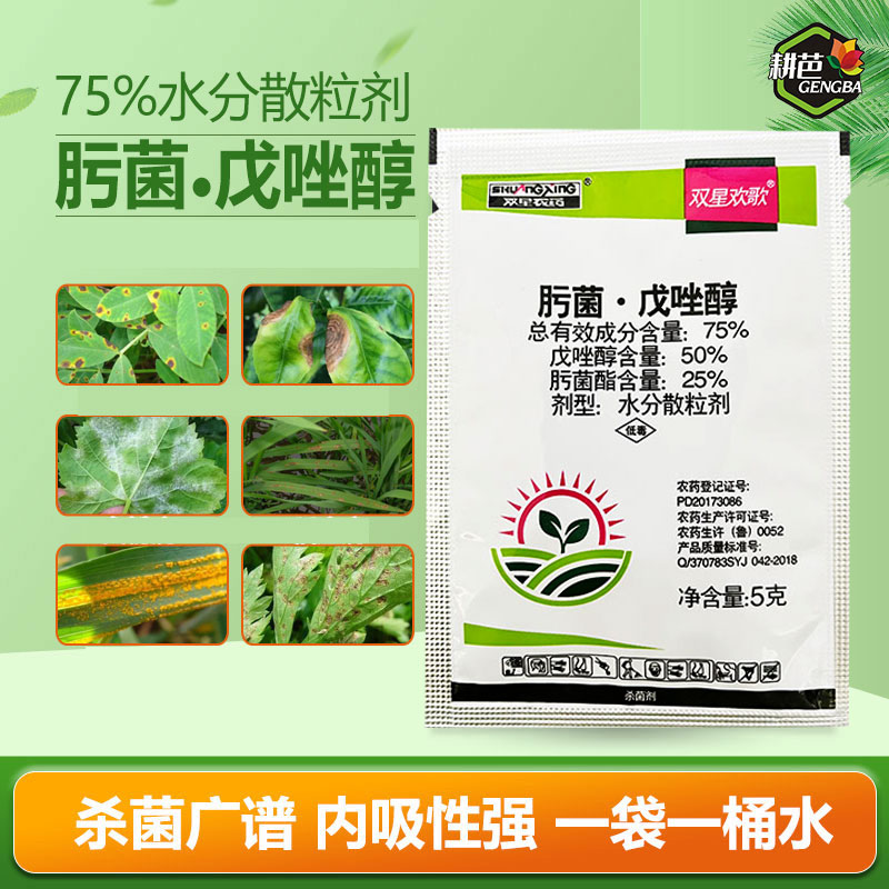 75%肟菌戊唑醇水稻稻瘟病炭疽病疮痂病白粉病保护治疗杀菌剂
