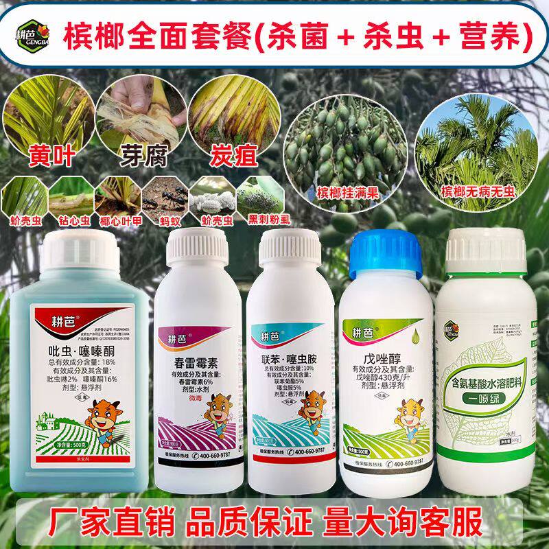 槟榔杀菌杀虫套餐炭疽木虱蓟马椰心叶甲芽腐白粉炭疽全套正品