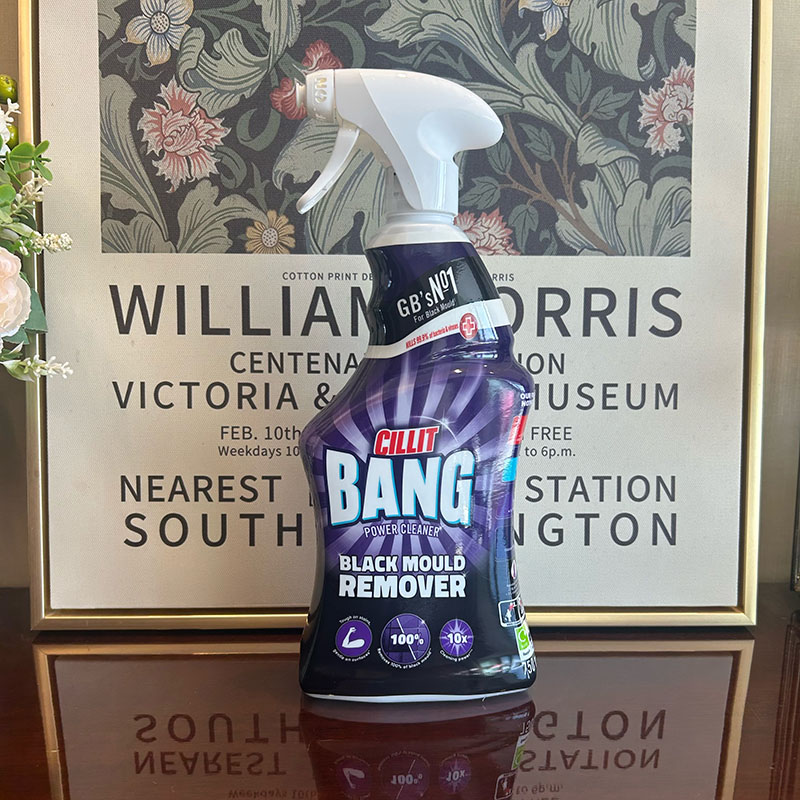 除霉清洁剂墙面霉斑不伤表面