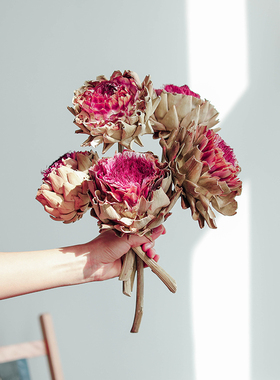 帝王花干花公主花进口真花复古高端办公室店铺装饰店面布置霸王花