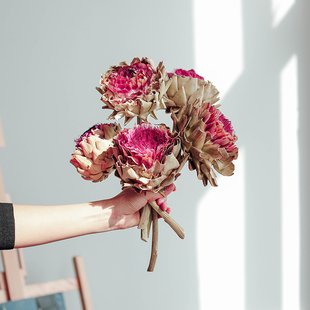 帝王花干花公主花进口真花复古高端办公室店铺装 饰店面布置霸王花