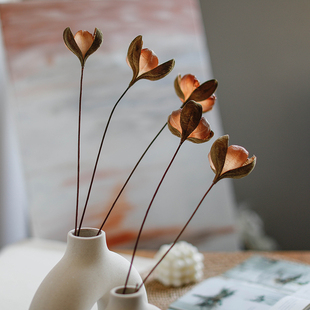 特费玫进口高端真干花大厅客厅装 饰摆件天然果壳花插花干枝干燥花