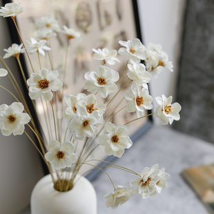 北欧奶油风手工雏菊干花小花束仿真花装 银铃海葵花 饰摆件家居软装