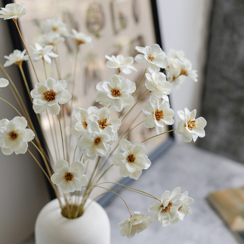 北欧奶油风手工雏菊干花小花束