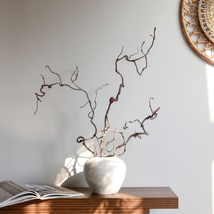 龙枣枝干花天然弯曲龙爪枝侘寂风民宿茶室禅意装 饰干枝摆件