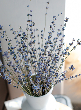 天然新疆伊犁干真花lavander薰衣草干花束永生花礼盒安神助眠客厅