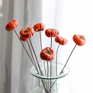 巴西进口小南瓜干花果实天然干果装 饰摆件节日气氛拍摄道具圣诞节