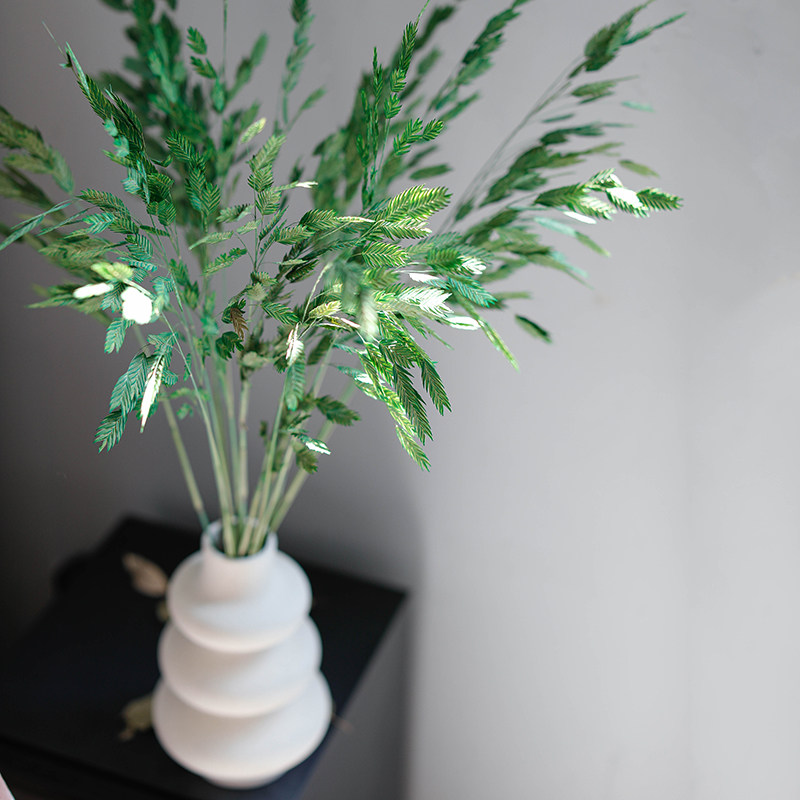 绿色小盼草干花花束房间装饰干花