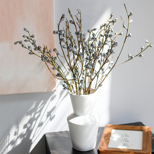 尤加利果大果网红干花花束十字果花瓶带花套装 室内北欧小白果真花