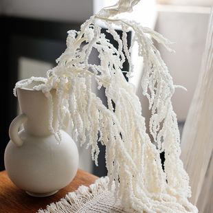 白色永生花柔丽丝干花吊米插花花束配花垂吊装 饰摆件拍照布景道具