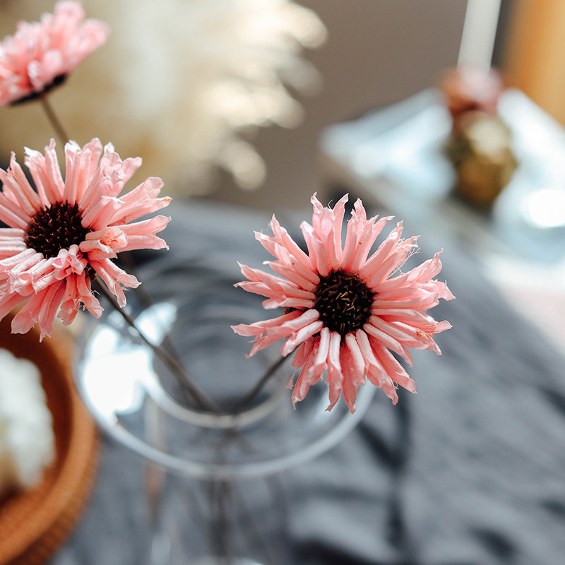 粉色太阳花干花ins网红花束天然手工果壳花插花仿真花装饰 小雏菊