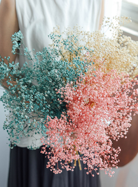 云南永生满天星干花花束一大束白蓝色天然送女生ins摆件卧室装饰