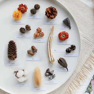 松果莲蓬橡果幼儿园手工制作创意干花包小干树枝装 饰复古拍摄道具