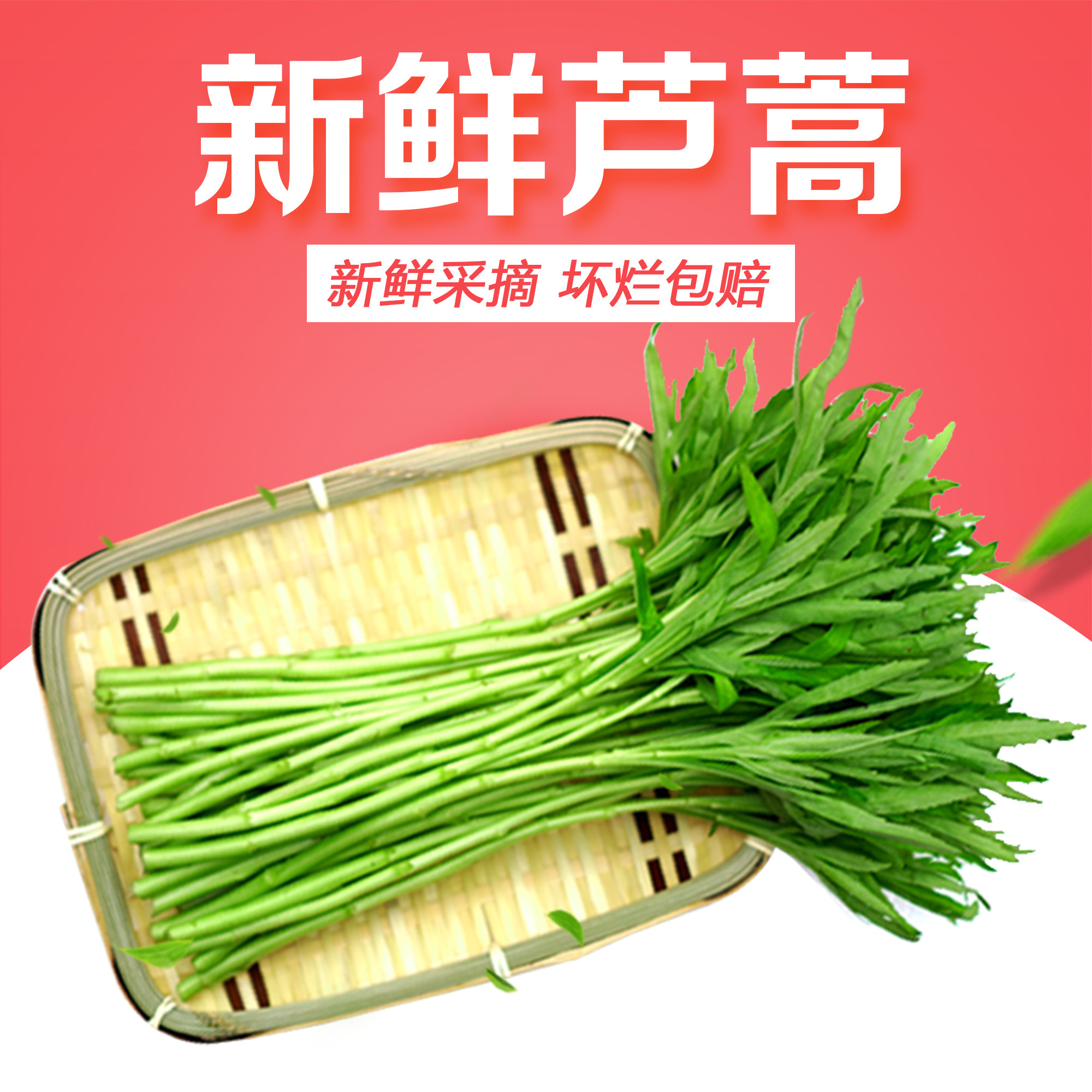 芦蒿图,叶子_大山谷图库
