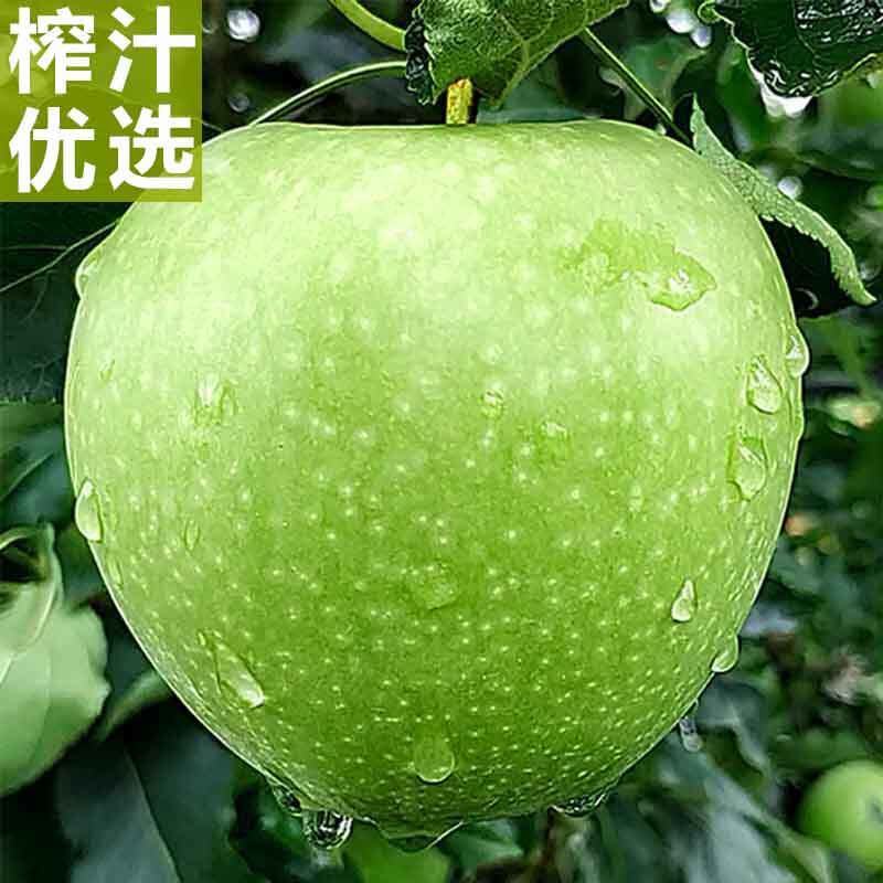 榨汁首选高酸青苹果新鲜脆酸孕妇苹果