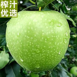 榨汁首选高酸青苹果新鲜脆酸孕妇低糖酸水果澳洲肝胆排包邮