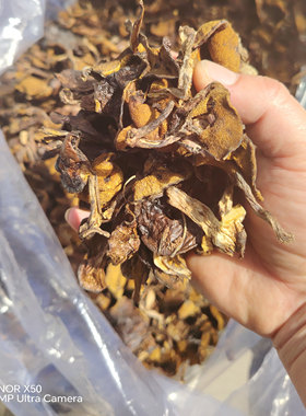 松蘑东北特产农家牛肝菌干货粘团子煲汤新鲜菌子菌菇褐环乳牛肝菌