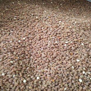 东北黄柏花粉黄菠萝蜂花粉含软枣猕猴桃食用花粉500g包邮新鲜干货