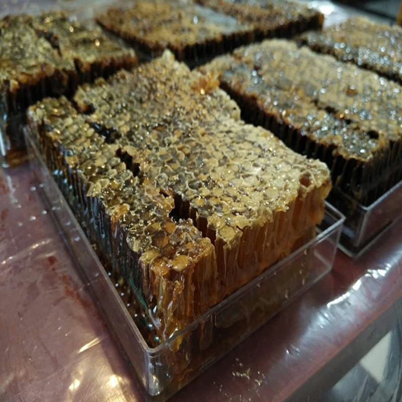 长白山蜂巢蜜东北黑巢蜜老巢蜜蜂巢素土蜂蜜嚼着吃的蜜1000g包邮