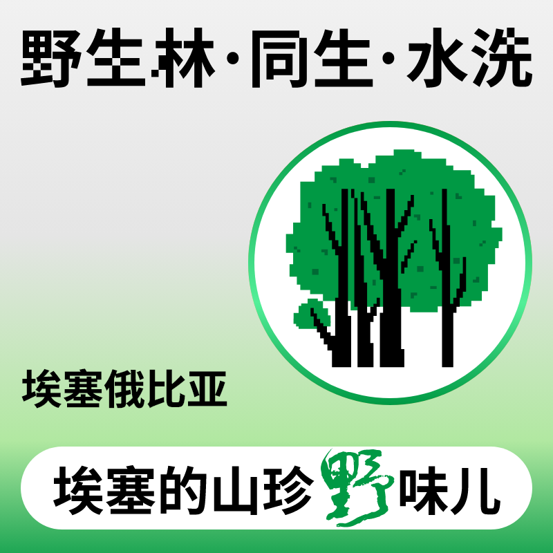 捌比特埃塞俄比亚耶加雪菲野生林日晒浅度烘焙手冲精品咖啡豆100g