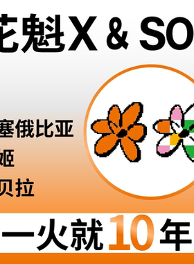 捌比特咖啡 花魁x 日晒SOE埃塞俄比亚罕贝拉精品手冲意式咖啡豆