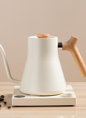 美国Fellow Stagg温控壶 恒温手冲壶细嘴手冲咖啡壶EKG杜嘉宁B壶