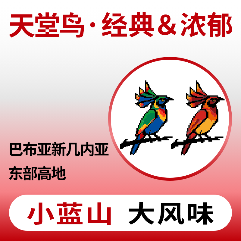 捌比特 巴布亚天堂鸟PNG 小蓝山水洗中度烘焙手冲精品咖啡豆250g