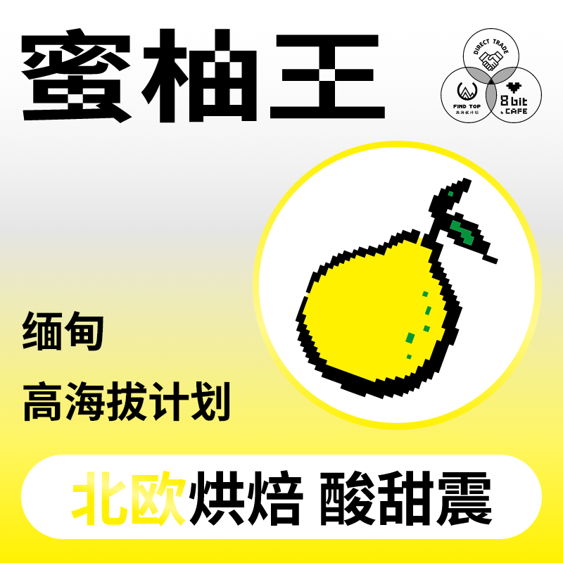 捌比特高海拔浅烘蜜柚王咖啡豆