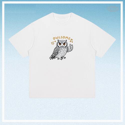 OWLSOME猫头鹰南白脸角鸮meme图鉴趣味短袖设计感T恤纯棉观赏观鸟