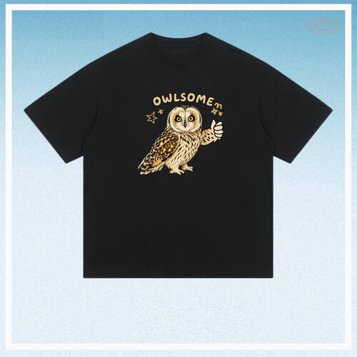 OWLSOME猫头鹰短耳鸮meme图鉴趣味短袖设计感T恤纯棉鸟类观赏观鸟