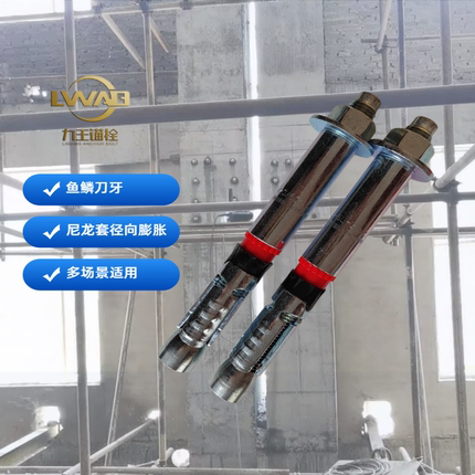 北京LIWANG力王重型机械锚栓组合 膨胀螺栓 工厂直销支持定做