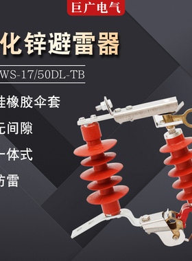 YH5WS-17/50DL-TB跌落式避雷器10KV户外高压复合金属可卸式避雷器