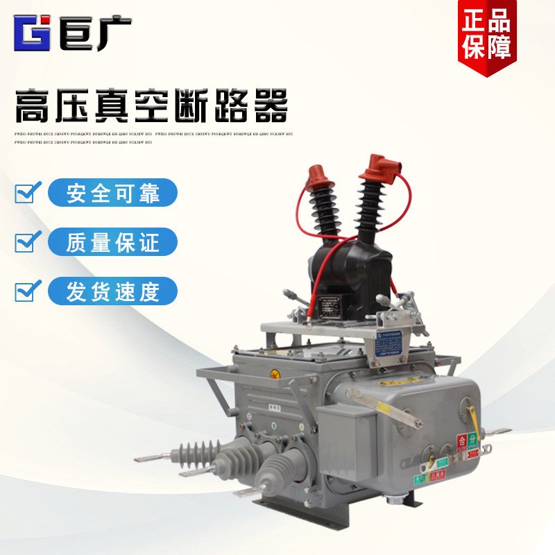10kv智能型猪肾功能真空断路器zw20-12f/630六氟化硫带看门狗开关