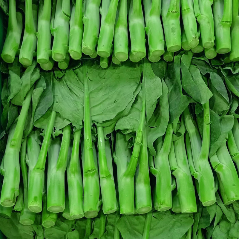 新鲜小芥兰 中花 芥兰菜 芥蓝