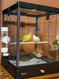 达洋玻璃鸟笼B4001 6001全新系列小型鹦鹉笼玄风虎皮鹦鹉牡丹笼子