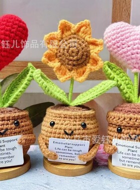 Handmand Emotionlal Support Plant Gift手工编织积极的植物