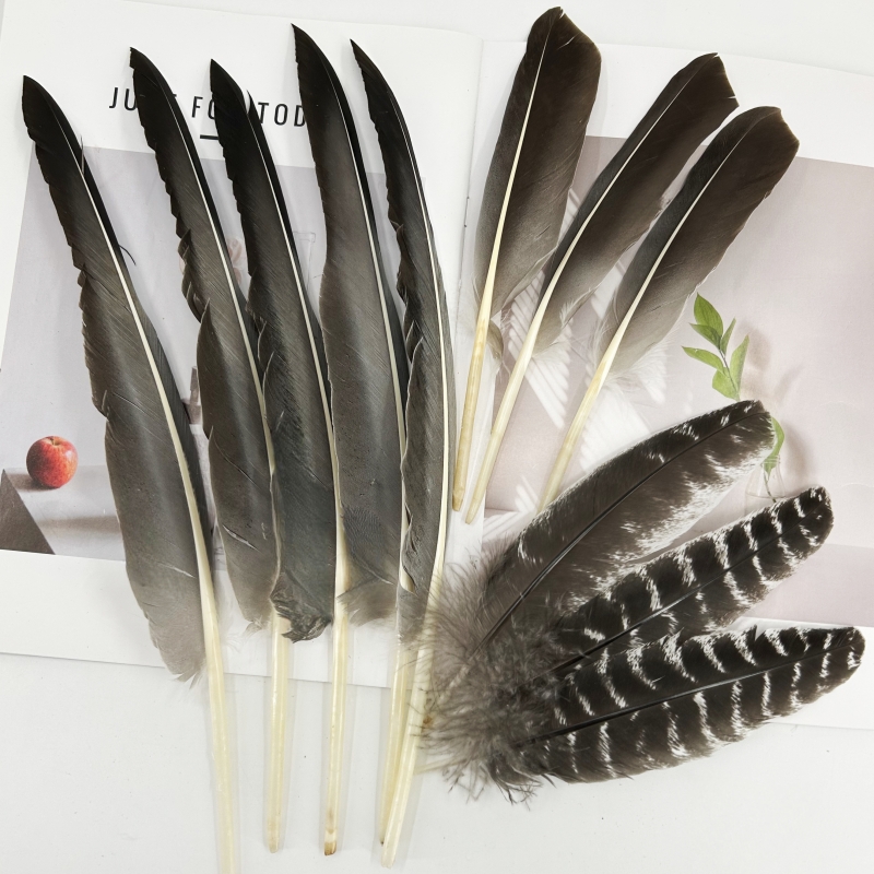 厂家直销各种不同野鸡天然羽毛服装辅料毕业设计DIY饰品饰品配件