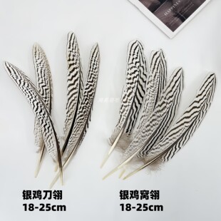 DIY散装羽毛饰品配件 条纹羽毛银鸡窝翎 头饰服装表演羽毛18-25cm