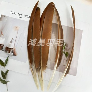 厂家直销孔雀刀翎羽毛15-35㎝自然色毕业设计材料服装辅料配件