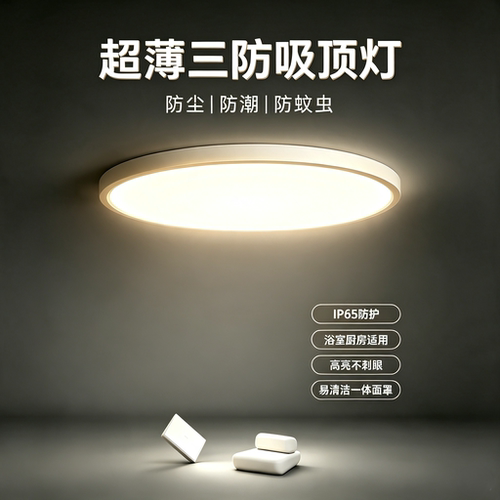 全光谱三防吸顶灯密封防蚊虫