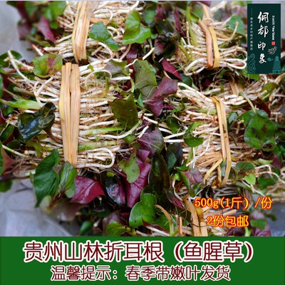 折耳根 贵州特产 新鲜 鱼腥草 深山 现挖发货 500g每份 2份 包邮