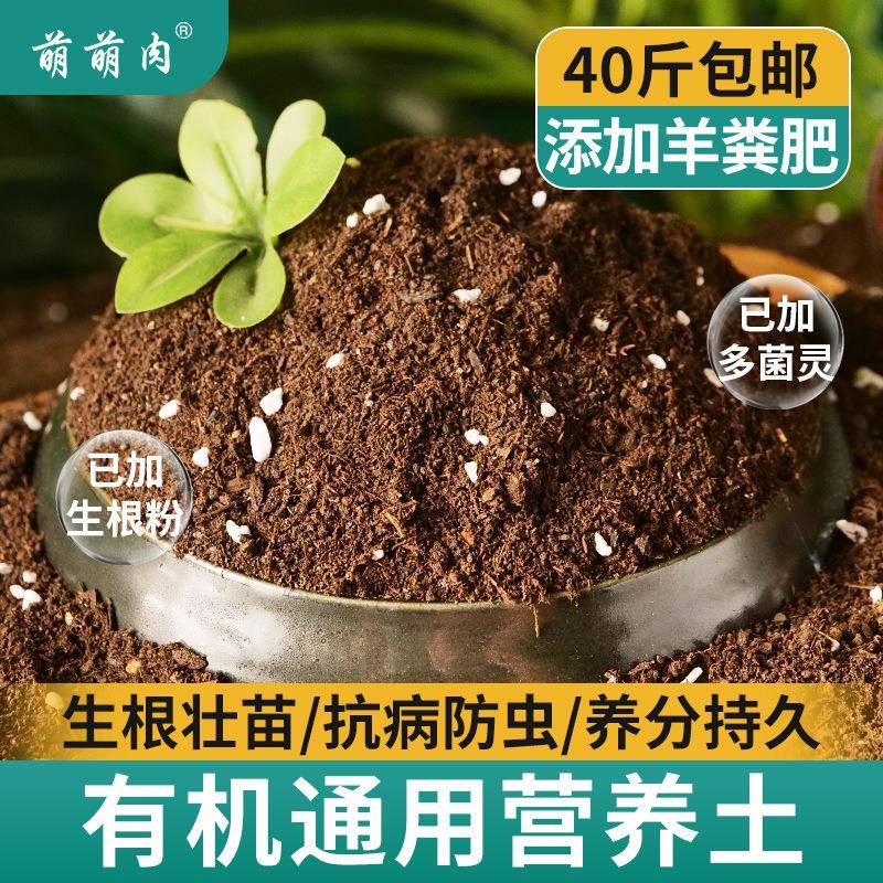 养桂花专用土营养土盆栽土桂花树专用土肥料专用肥土壤泥土种植土图片
