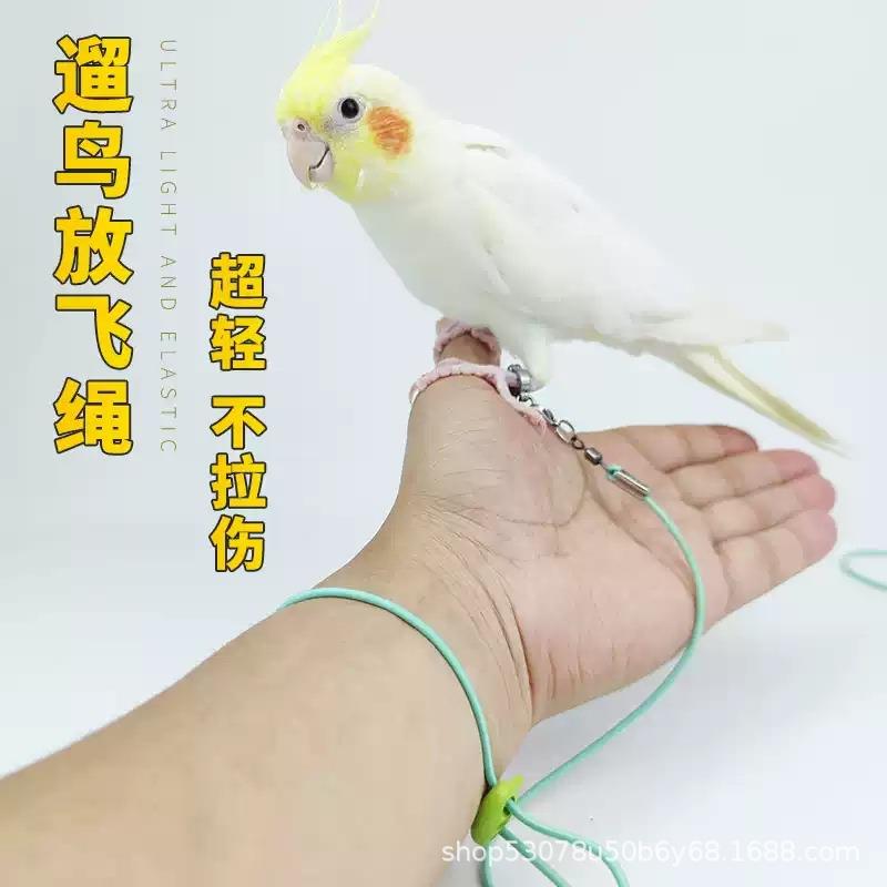 鹦鹉牵引绳超轻不伤脚鸟用外出放飞绳和尚八哥脚环脚链遛鸟神器