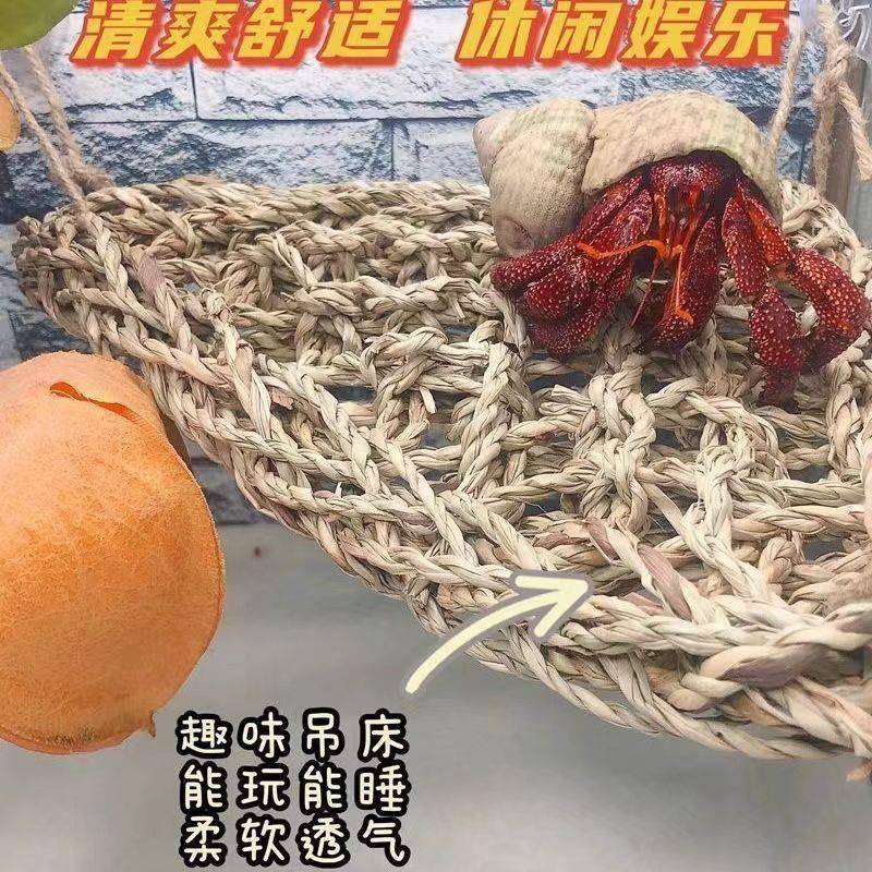 鬃狮蜥吊床蜥蜴海草编织睫角守宫寄居蟹攀爬鹦鹉攀登玩具绳造景