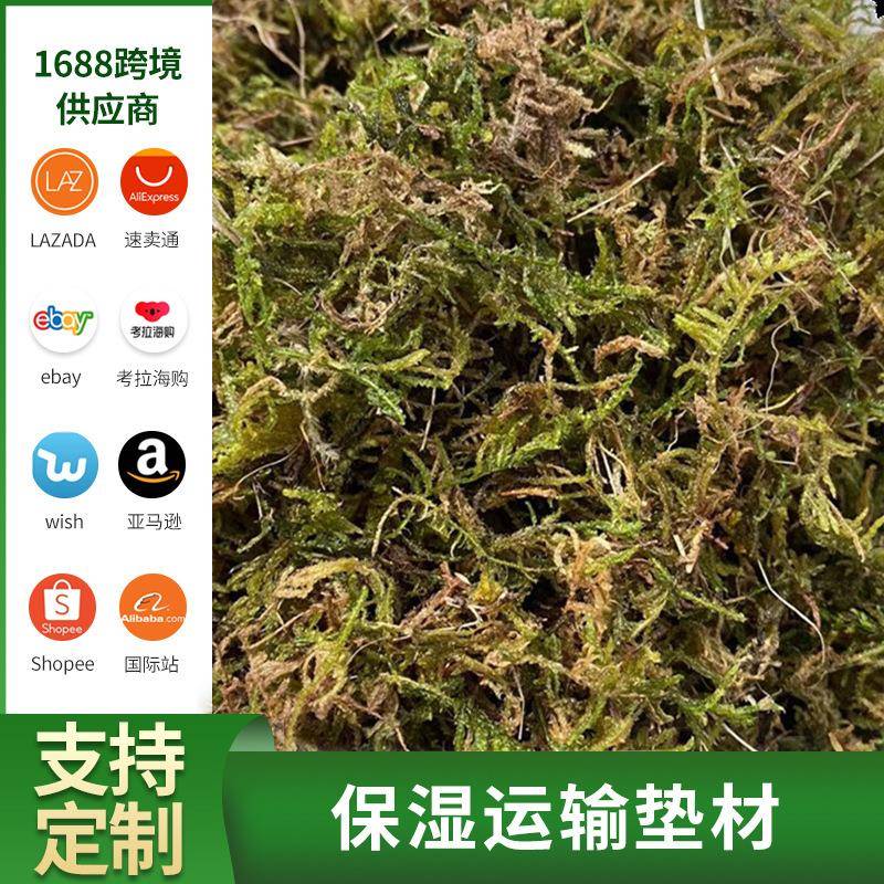 天然干苔藓爬宠过冬用品乌龟守宫蜥蜴育苗保湿干水苔爬虫造景垫材
