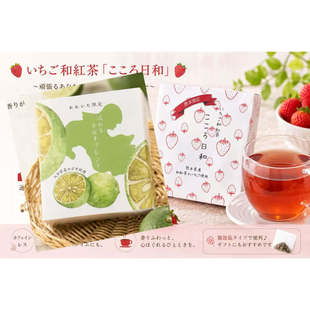 日本熊本优质水果制造果茶CATEGORY限定草莓红茶