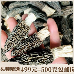 新货特级特产营养菌菇类新鲜货500g野生蘑菇菌 头茬 干货 羊肚菌